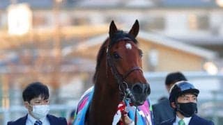 【チャレンジC】ルメール「ペースはとても速かった」ソーヴァリアントが連覇