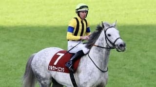 【ステイヤーズS】レーン「良いポジション取れた」シルヴァーソニックが重賞初制覇