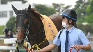 【今日の注目ポイント】中京でダート王決定戦チャンピオンズC