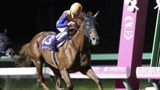 【チャンピオンズC予想】長い直線で急坂が待ち受けているタフなコース設定