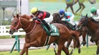 国枝厩舎の秘蔵っ子、アンティーゾ。「走ってきそうな雰囲気はある」とスタッフは好感触