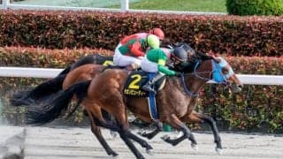 【チャンピオンズC予想】勝利パターンなら馬番2から11番重視？ 前走中央使いの馬は勝利の前例なし？