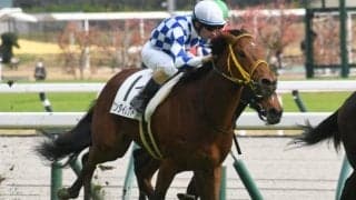 【中京5R新馬戦結果】ワンダイレクトが差し切り勝ち