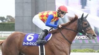 【チャンピオンズC・馬体重】テーオーケインズは494kg(-7)、グロリアムンディは504kg(+8)