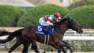 【チャンピオンズC】ジュンライトボルトがジャイアントキリング！テーオーケインズは敗れる