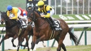 【中日新聞杯】プログノーシス、キラーアビリティなどが登録