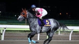 【カペラS】リュウノユキナ、ジャスティンなどが登録