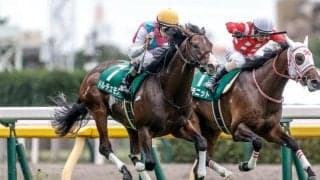 【朝日杯FS】ドルチェモア、オオバンブルマイなどが登録