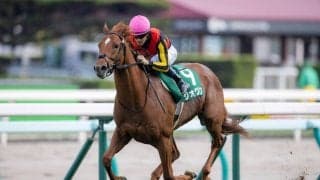 【香港国際競走】日本馬6頭が香港に到着