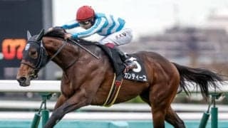 12月4日の競走中止、競走除外、疾病の一覧 カンティーユ1着も鼻出血ほか/中山・阪神・中京