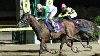 【佐賀・ウインターチャンピオンOP】石川倭騎乗 ダイリンウルフが差し切る