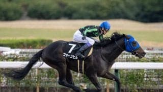 【豊川特別】武豊 ファーンヒルが4馬身差圧勝