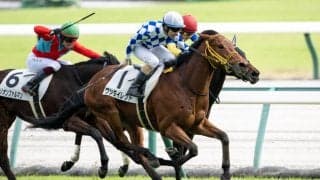 【新馬/中京5R】ハービンジャー産駒 ワンダイレクトがデビューV