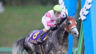 【カペラS登録馬】リュウノユキナなど20頭