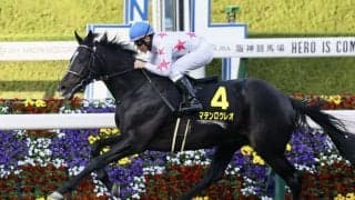 【中日新聞杯登録馬】マテンロウレオなど18頭