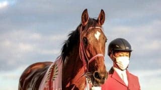 【阪神JF見どころ】アルテミスS覇者ラヴェルが無傷3連勝を狙う