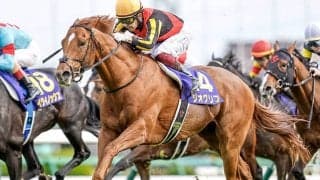 【香港国際競走】ジオグリフ、サリオスなど美浦所属馬6頭が香港入り