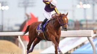 JpnI/GI馬が3頭参戦 カジノフォンテンなど豪華メンバー集う/大井・勝島王冠枠順