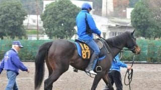 兄はエピファネイアやリオンディーズ 良血馬テンペストが中山でデビュー/関東馬メイクデビュー情報