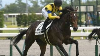 【AI予想・阪神JF】ダークホースは抽選組に!? 妙味を生むハイレベルレースの僅差敗戦