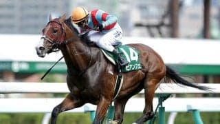 短距離重賞3勝の快速馬、フィエールマンの半妹、2021年の桜花賞とオークス5着馬らがJRA登録を抹消