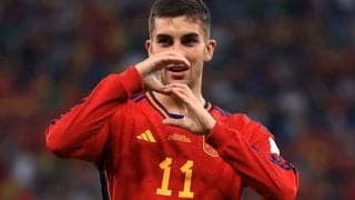 スペイン代表F・トーレスがカタールの遊園地で監督の娘とデート！槙野と本田の解説でも話題になった大物カップル