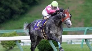 【カペラS想定騎手】リュウノユキナは柴田善臣騎手、オメガレインボーは岩田康誠騎手