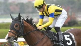 【中日新聞杯想定騎手】プログノーシスは川田将雅騎手、マテンロウレオは横山典弘騎手