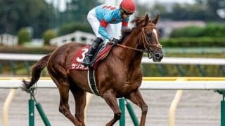 【香港国際競走】グリーンチャンネルなどで熱戦を生中継！