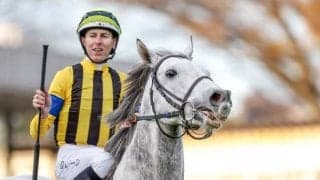 重賞勝ち馬を4頭出し、繁殖牝馬としても非凡な才能を示したエアトゥーレ