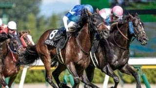 【中日新聞杯展望】前走で凡走した馬の巻き返しが多いレース