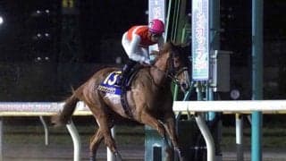 【かしわ記念】JRA出走予定馬