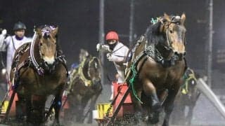 ばんえい競馬で過去最高1859万円の払い戻し