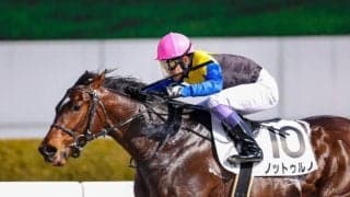 【兵庫CS】JRA出走予定馬