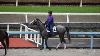 ゴールデンスナップなど、先週のゲート試験/栗東トレセンニュース