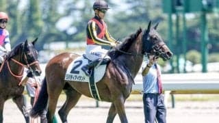 【阪神JF予想オッズ】リバティアイランドが予想1番人気