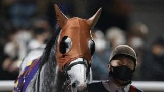 【カペラS予想オッズ】リュウノユキナが予想1番人気