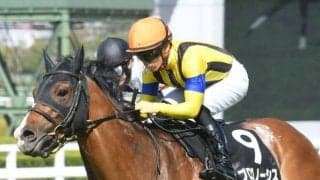 【中日新聞杯予想オッズ】プログノーシスが予想1番人気