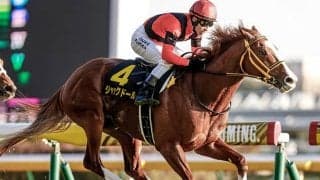 【香港国際競走】ジャックドールなど順調に調整 6日の日本馬近況