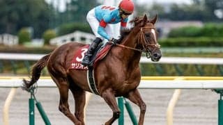 デビュー3連勝でG1を初制覇、香港マイルで再び強さ発揮し有終へ