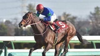 大逃げで世界に「驚き」を ドバイG1馬が香港カップに挑戦