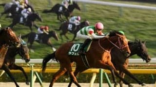 ２歳牝馬を識者たちがランキング。阪神JFの行方が見えてくる