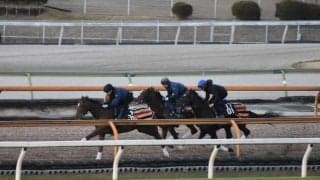 オオバンブルマイ、朝日杯FS1週前追い切り速報/栗東トレセンニュース