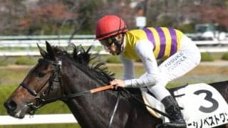 【次走】ニシノベストワンが朝日杯FS参戦 同一族にサクラローレル、タイムパラドックスなど