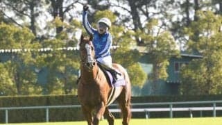 【香港国際競走】日本馬14頭の香港馬名を紹介！ 日照飛駿・速度大師はどの馬？