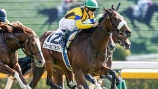 【POG】フォーカルフラワーがひいらぎ賞で復帰へ