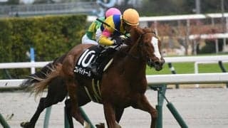 【POG】コレペティトール、放牧挟んで共同通信杯目標に調整