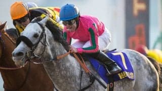 オメガパフュームが競走馬登録抹消