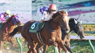 サンライズノヴァが競走馬登録抹消