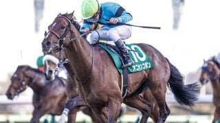 【次走】オニャンコポンは京都金杯で初のマイル戦